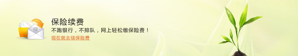 保险续费