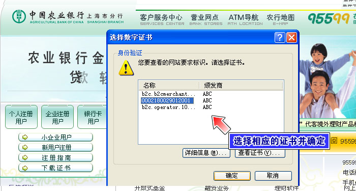 农业银行网银转账充值流程演示